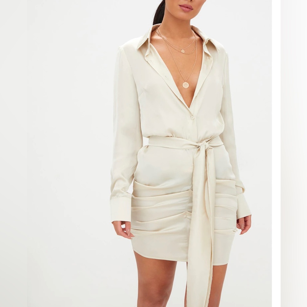 Polyester rouched silky dress